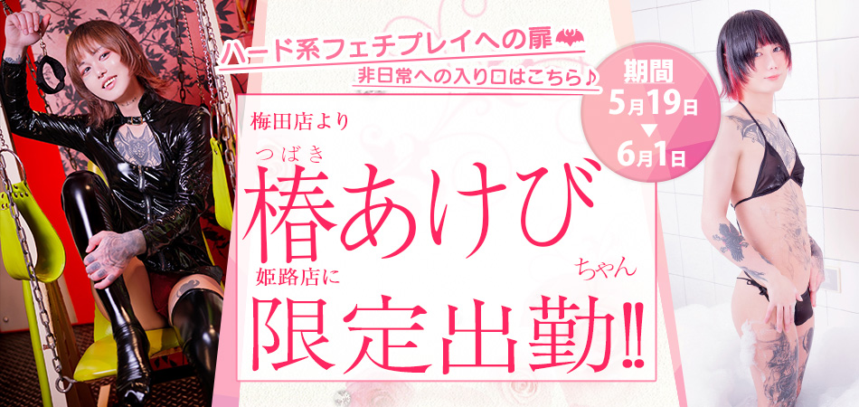20260519_椿あけび限定