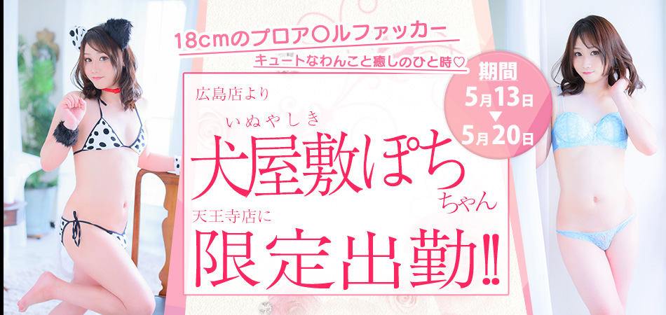 犬屋敷ぽち限定